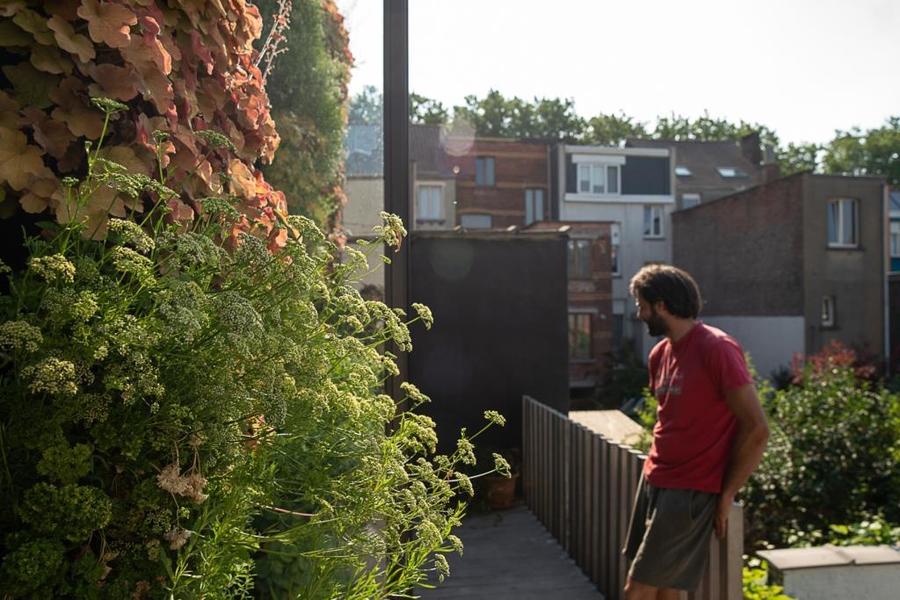 groene gevel muurtuin hangtuin Plantwerpen planten